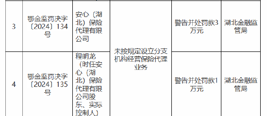 安心（湖北）保险代理有限公司被罚3万元：未按规定设立分支机构经营保险代理业务